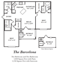 The Barcelona