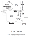 The Torino