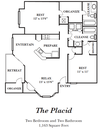 The Placid