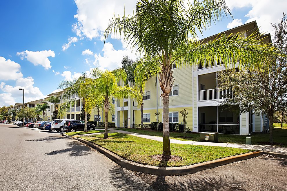 New Tampa Apartments Cross Creek New Tampa Apartments Cross Creek